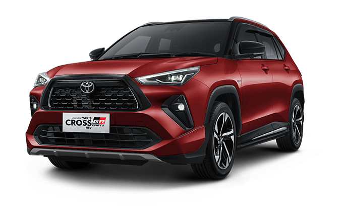 Dark Red M.M (spot order)